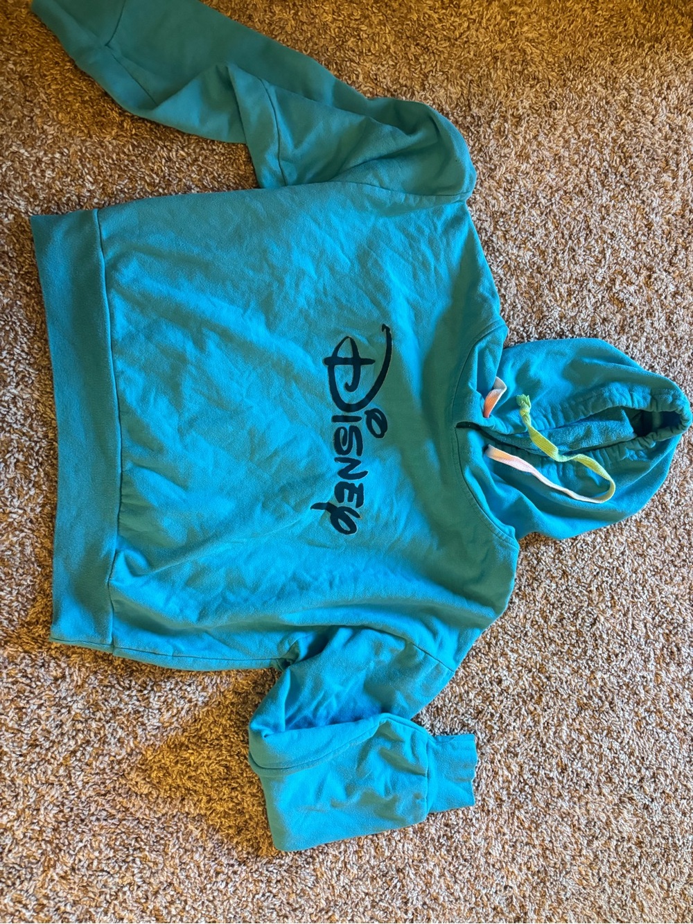 Disney Teal Cropped Hoodie